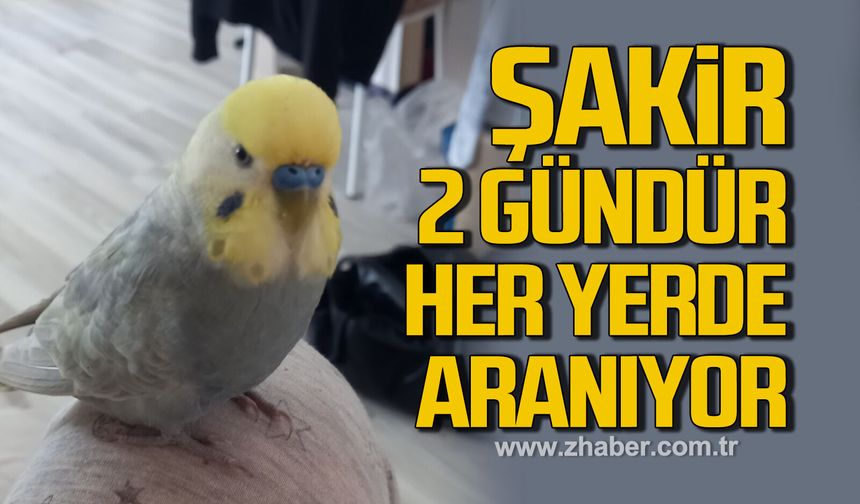 Şakir 2 gündür her yerde aranıyor