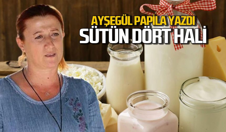 Sütün dört hali