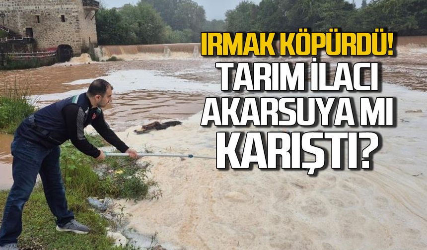 Bartın Irmağı neden köpürdü? Tarım ilacı mı karıştı?