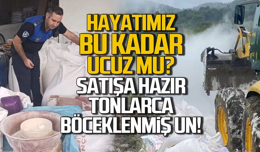 Hayatımız bu kadar ucuz mu? Satışa hazır tonlarca böceklenmiş un!