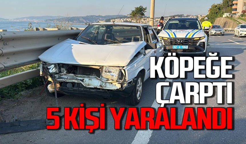 Yola fırlayan köpek kazaya neden oldu: 5 yaralı