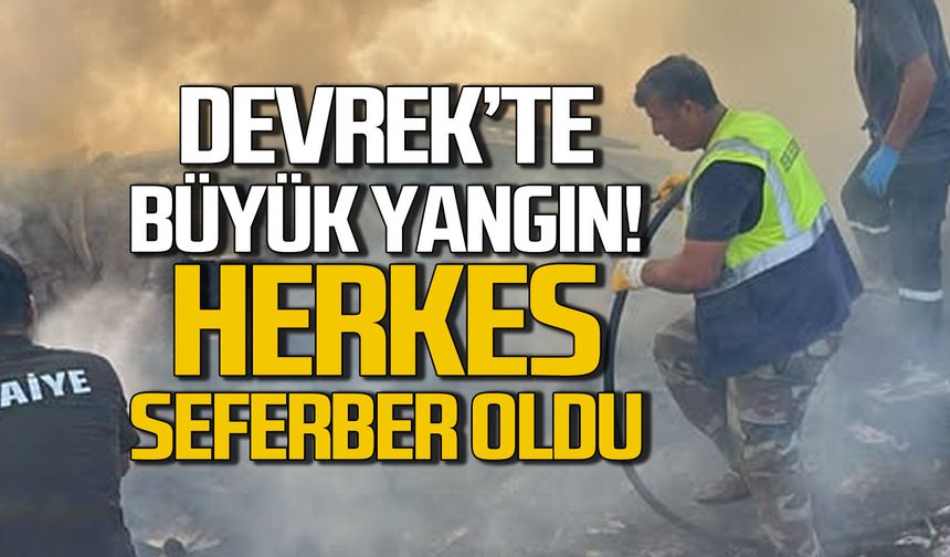 Devrek'te büyük yangın... Herkes seferber oldu