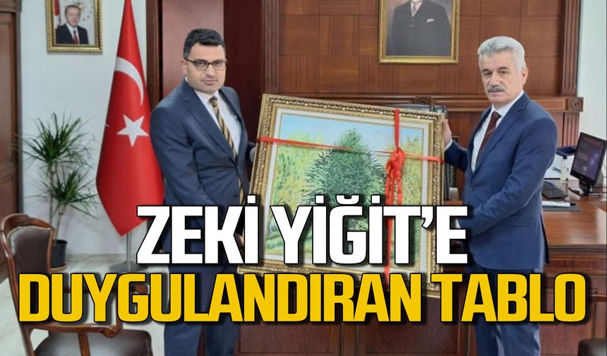Danıştay Başkanı Zeki Yiğit’e ressam Yılmaz’ın tablosu hediye edildi