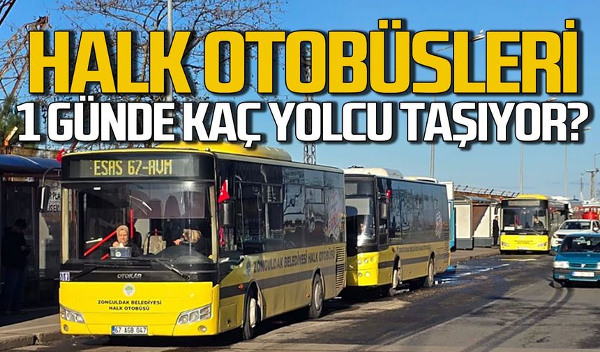 Zonguldak Belediyesi Halk Otobüsleri günde kaç yolcu taşıyor?