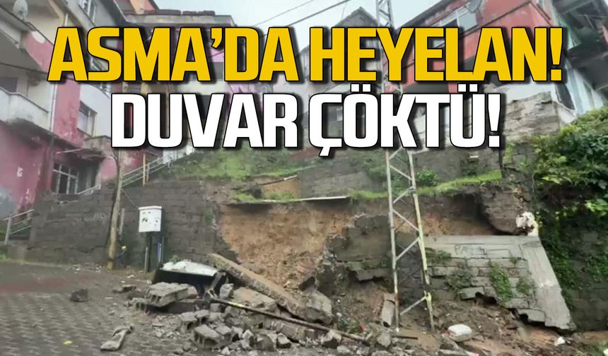 Asma'da heyelan... İstinat duvarı çöktü