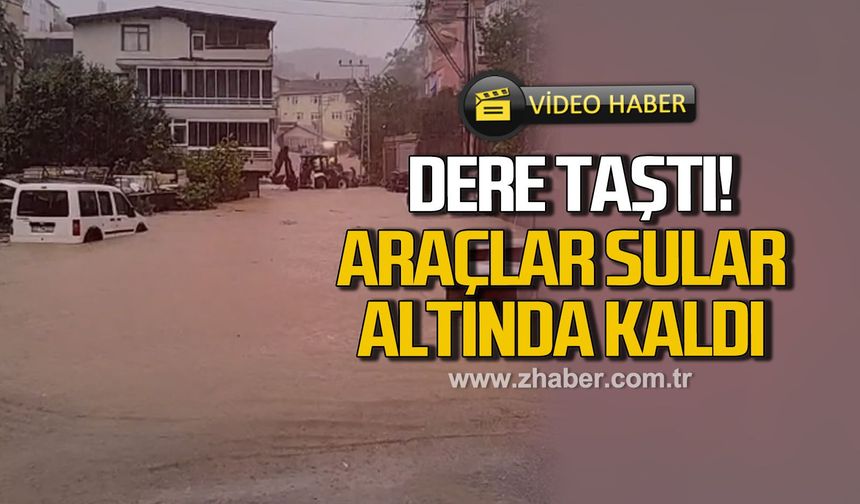 Kdz. Ereğli'de Dombay deresi taştı! Araçlar sular altında kaldı