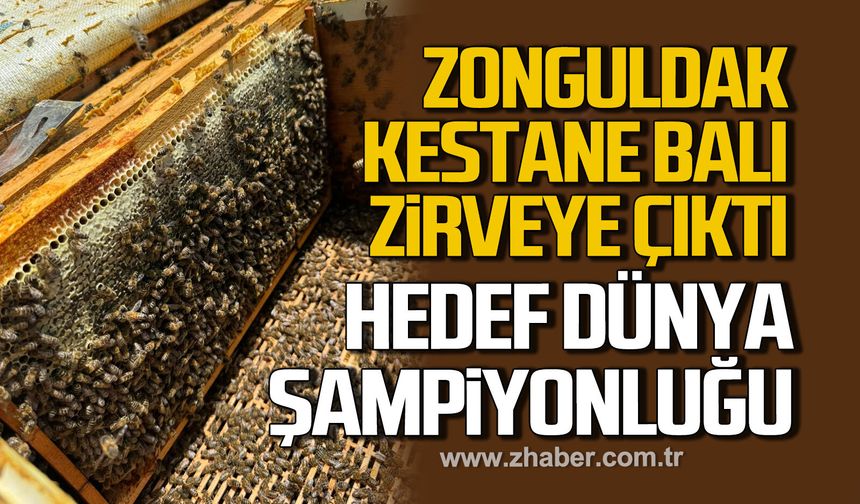 Şirinköy'den dünyaya! Zonguldak kestane balı zirveye oynuyor!