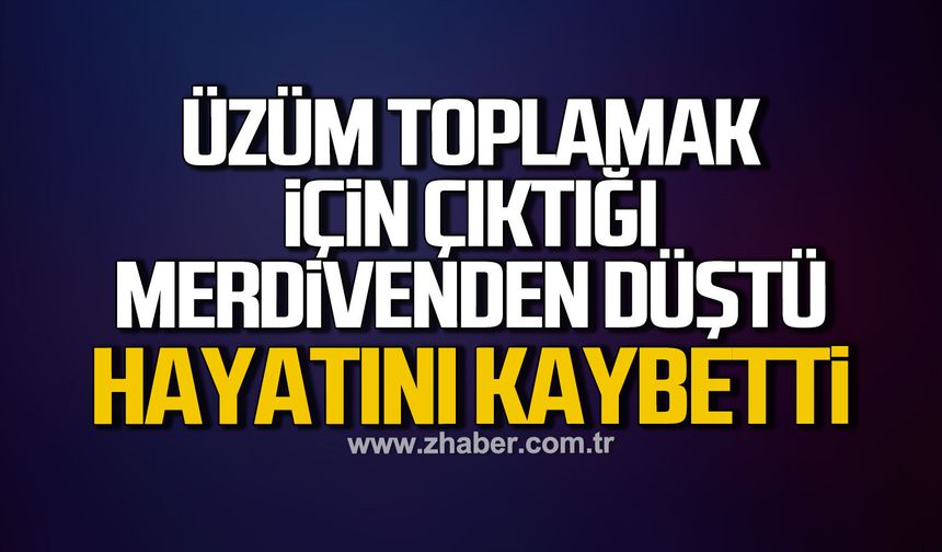 Üzüm toplamak için çıktığı merdivenden düşen yaşlı adam hayatını kaybetti