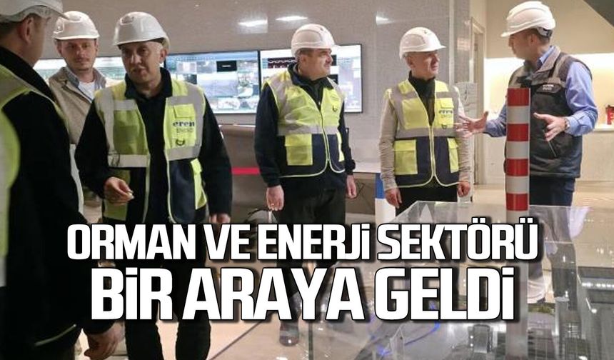 Zonguldak'ta orman ve enerji sektörü bir arada