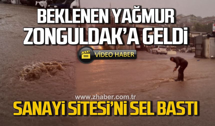 Beklenen yağmur Zonguldak'a geldi! Sanayi sitesi'ni sel bastı