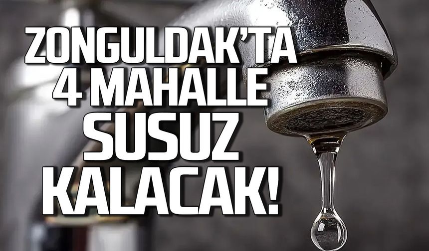Zonguldak'ta 4 mahalle susuz kalacak