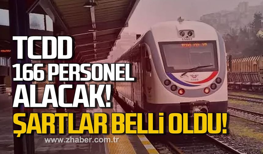 TCDD 166 sürekli işçi alacak! Başvurular başladı