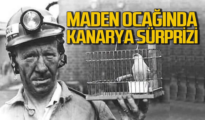 Maden ocağındaki kanarya: Bütçeye ödenek koydular