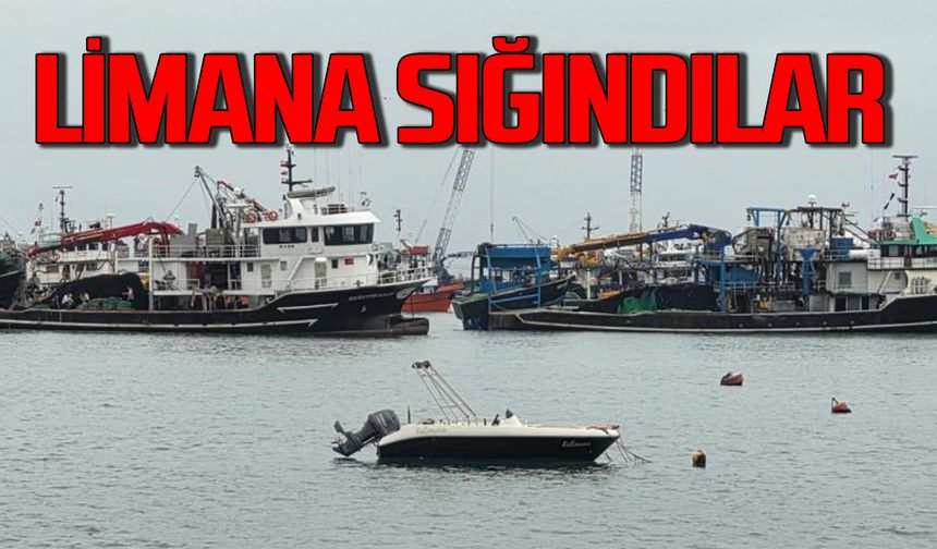 Kötü hava koşulları korkuttu: Limana sığındılar