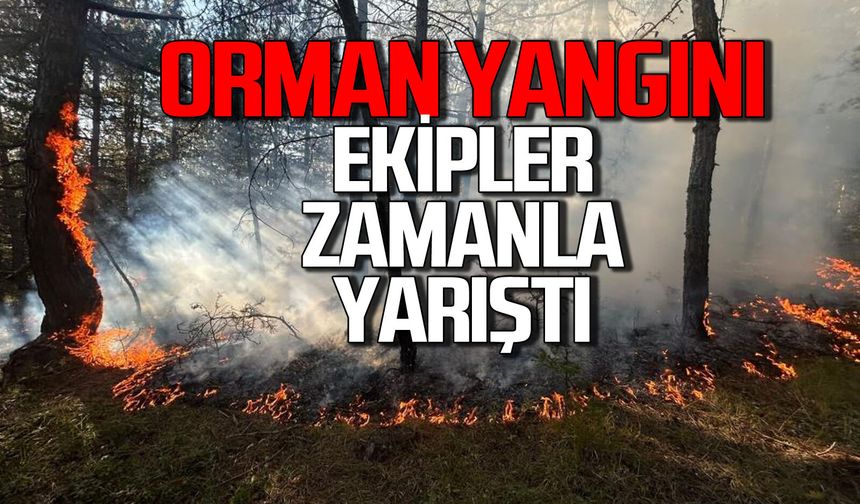 Orman yangını korku dolu anlar yaşattı: Ekipler zamanla yarıştı