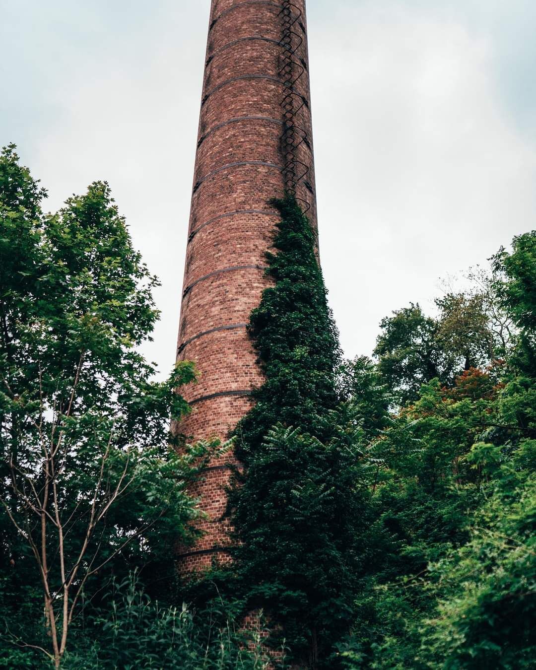 WhatsApp Image 2023-06-04 at 22.31.50 (2)