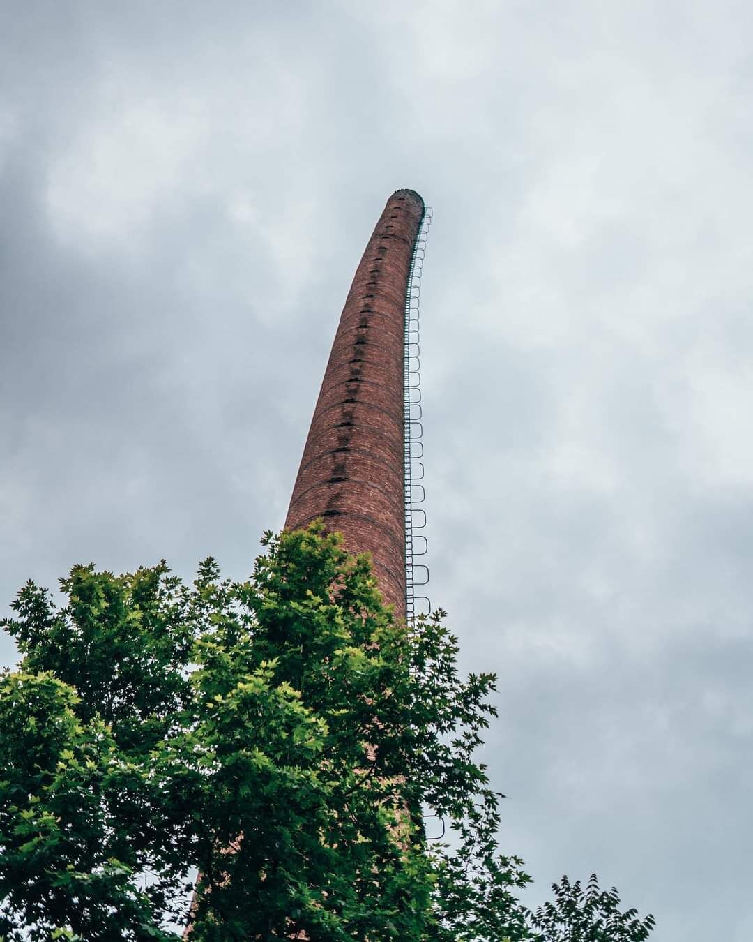 WhatsApp Image 2023-06-04 at 22.31.51 (1)