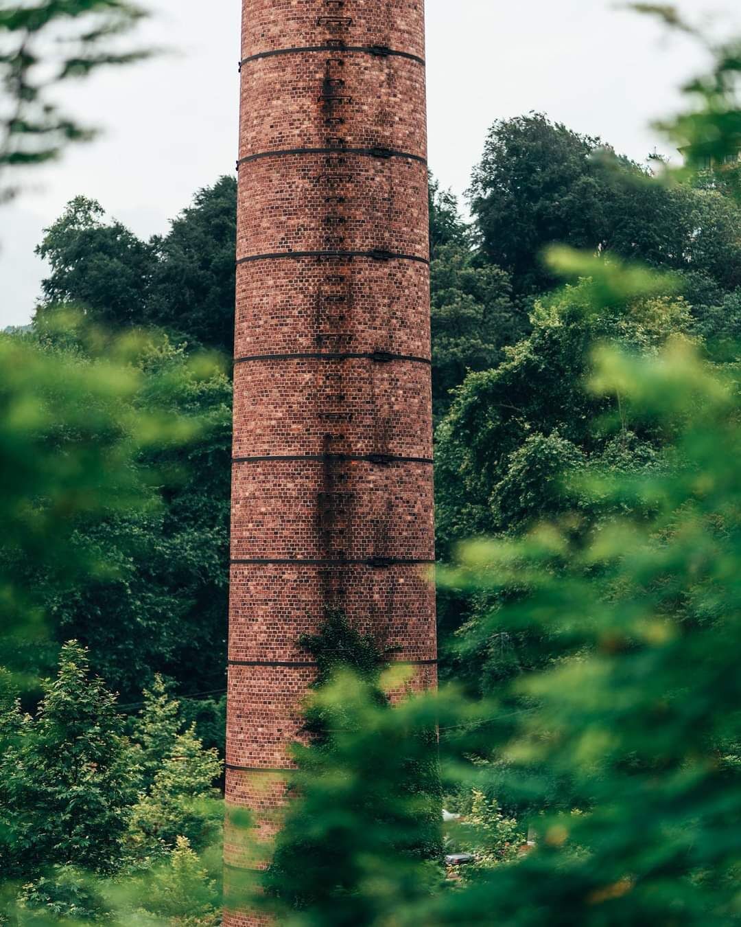 WhatsApp Image 2023-06-04 at 22.31.51