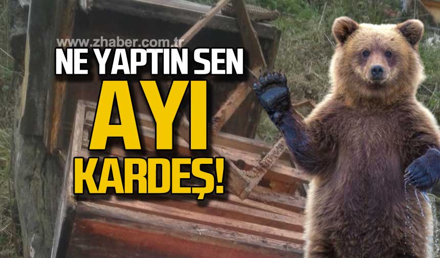 Ne Yapt N Sen Ay Karde