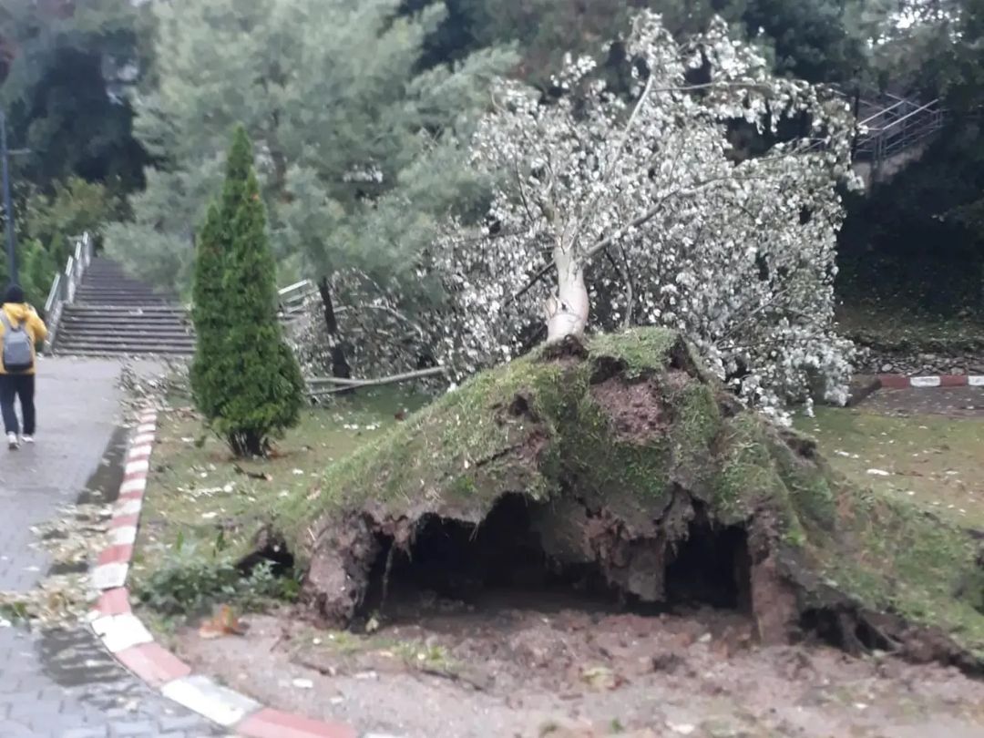 Zonguldak Bülent Ecevit Üniversitesi Şiddetli Fırtına ve Yağıştan Etkilendi 1