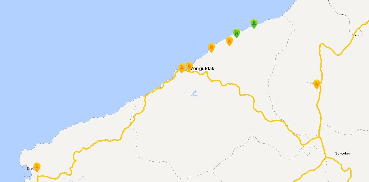 552d306f-d5a6-4591-87e8-7a1bd2434d20