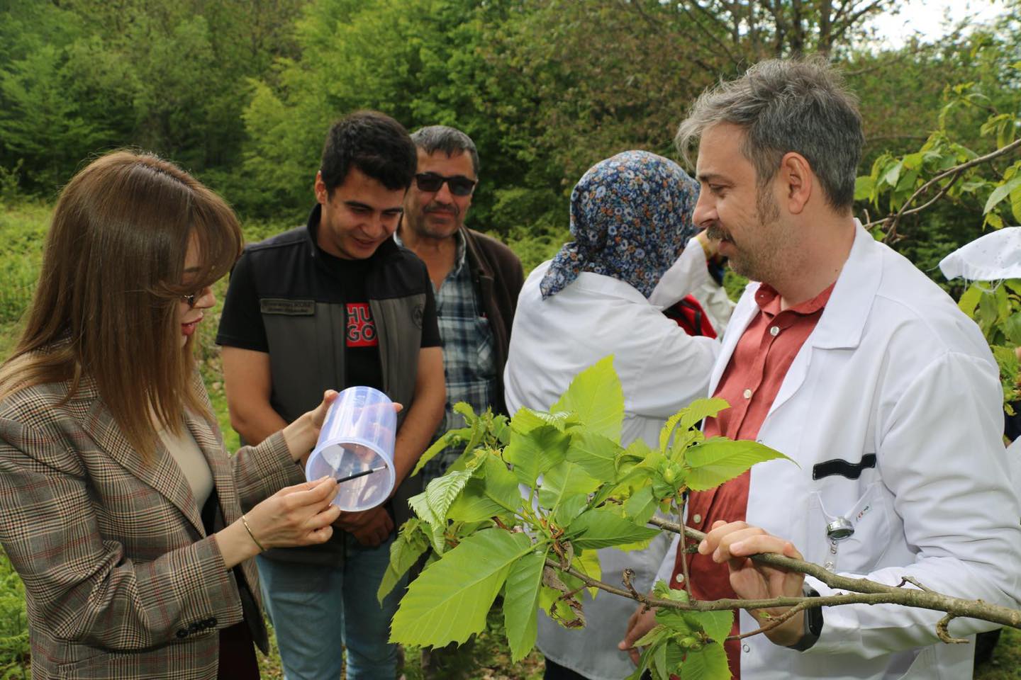 499796230 1092776896213021 1678516099681124810 N