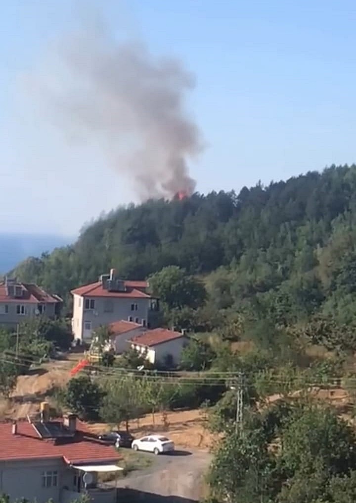 7E213521 4B1D 45F7 9706 D17E100A8377