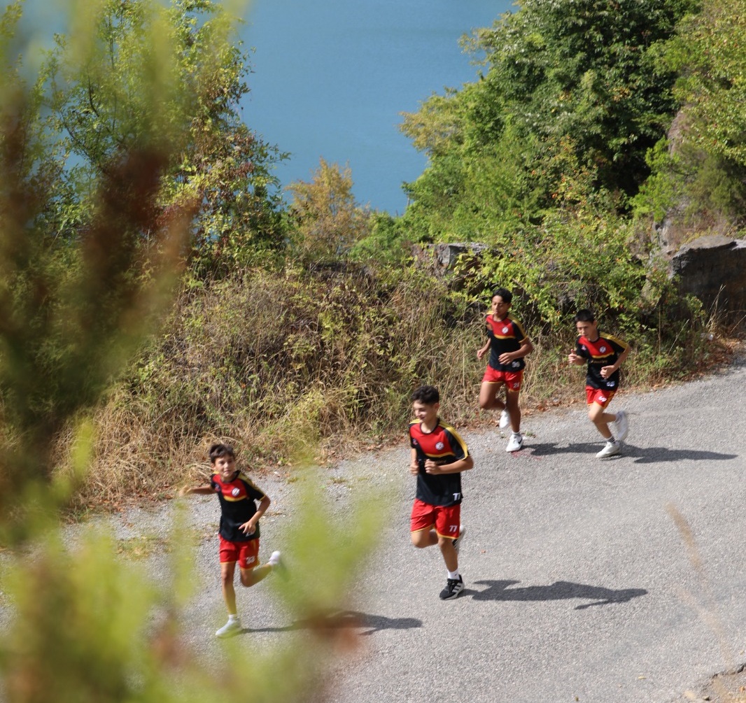 02Cd6490 5E1F 4146 A41F 401403782Fd5