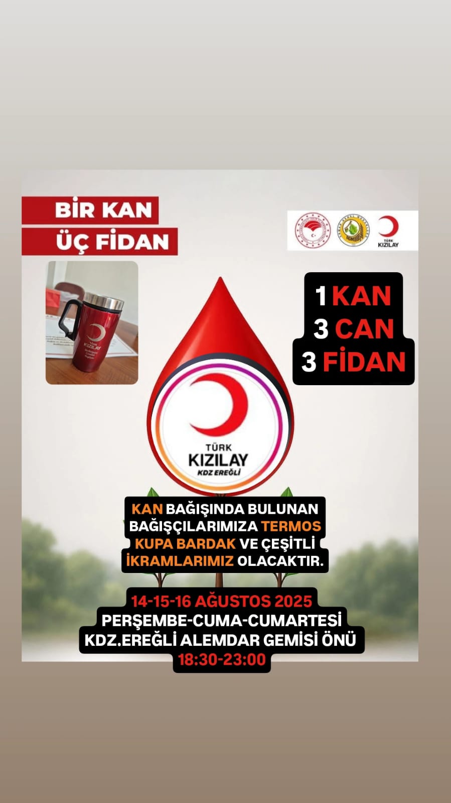 0A81E8C0 2E61 4868 Aaca Cfb3B31438F1