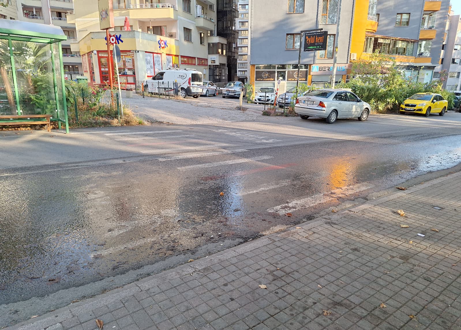 315B2844 8604 438C Ba50 6E0Bd6315423