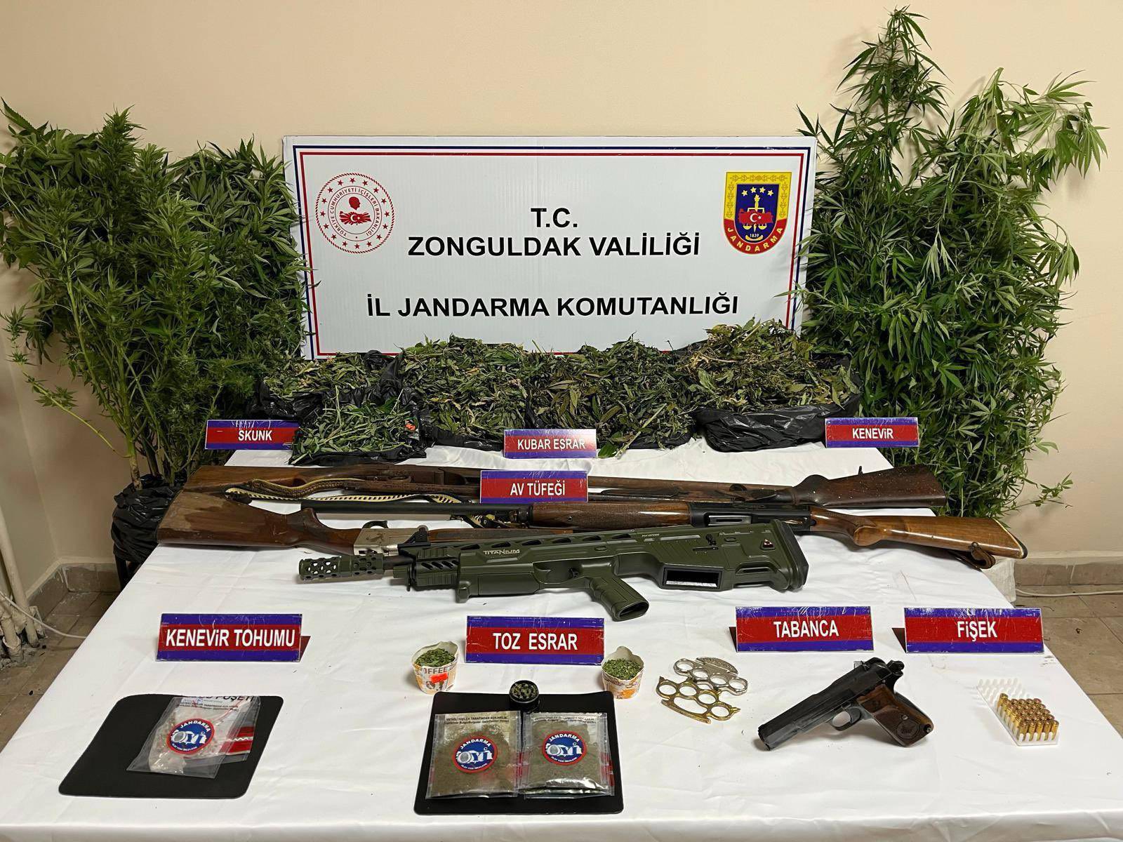 526866191 1166291792206159 766318814543265383 N