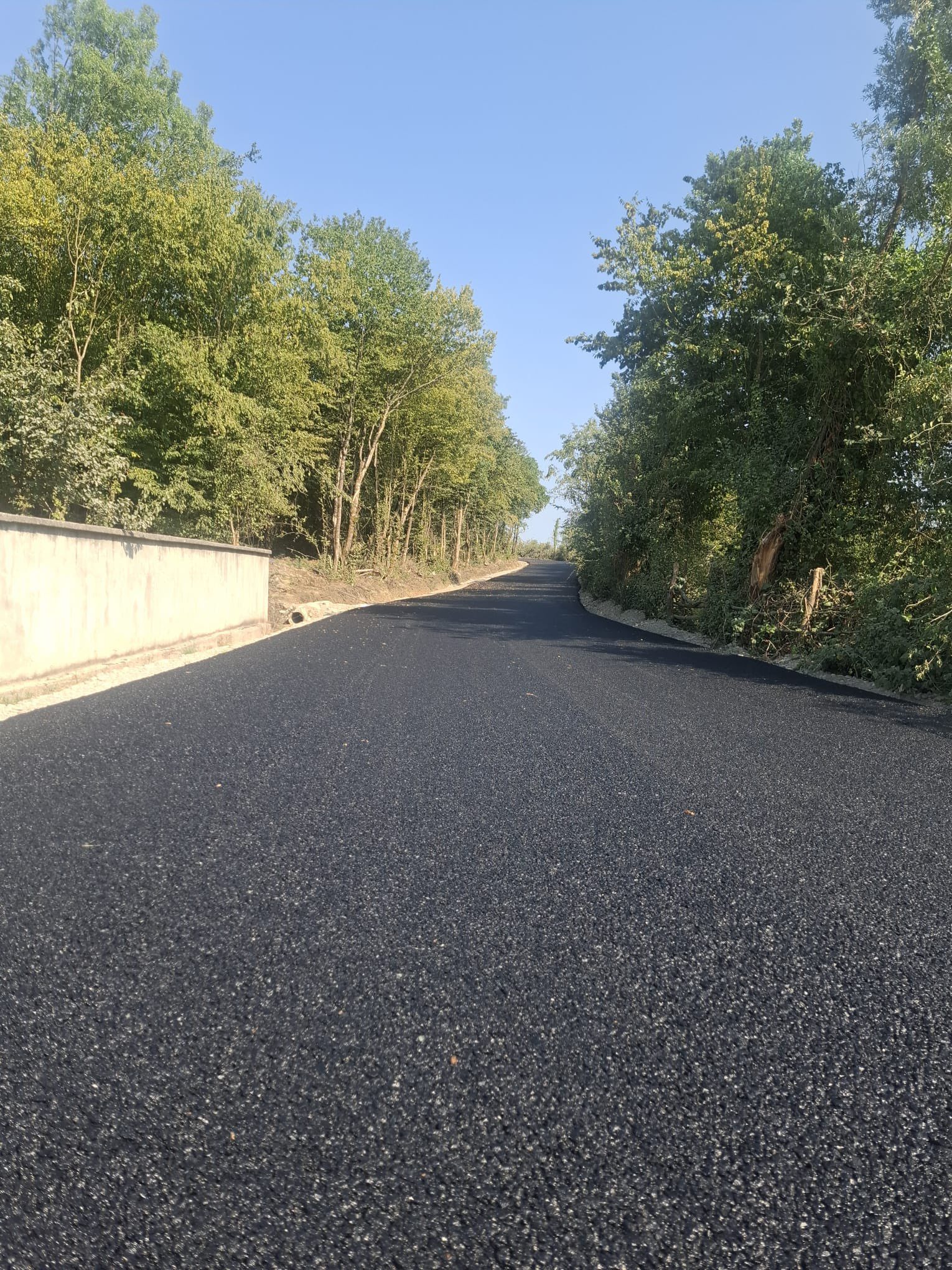 528037648 1167220025446669 5937904019390445831 N