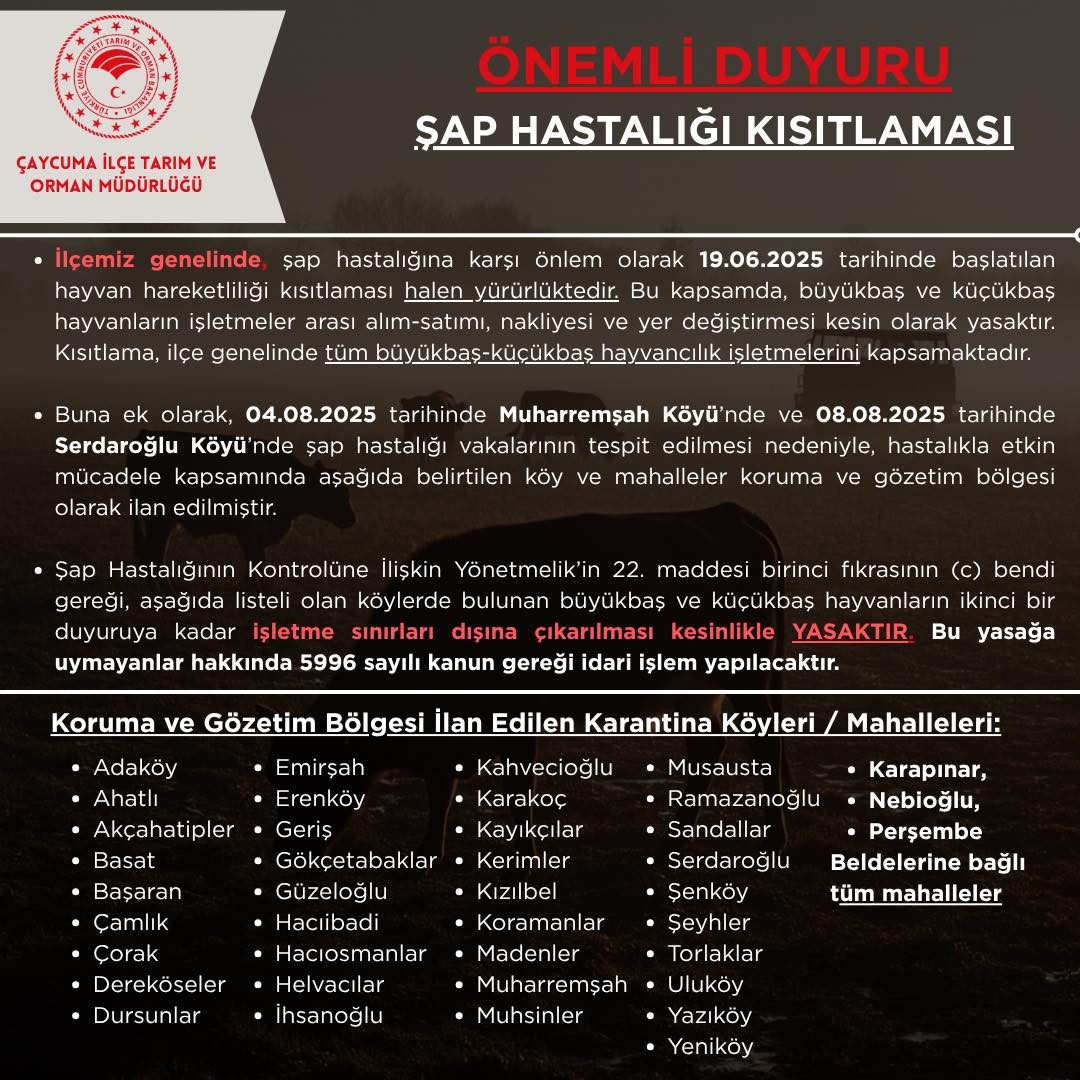 528731204 733511009485310 5740116506837044143 N