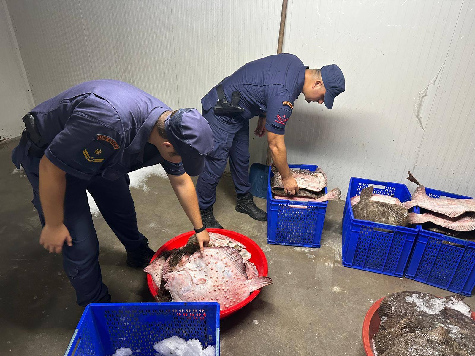 532129292 1172104208291584 8383005140580148117 N