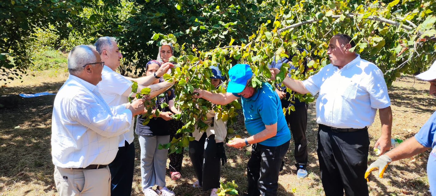 534140036 30730465199935472 1322866521384621250 N