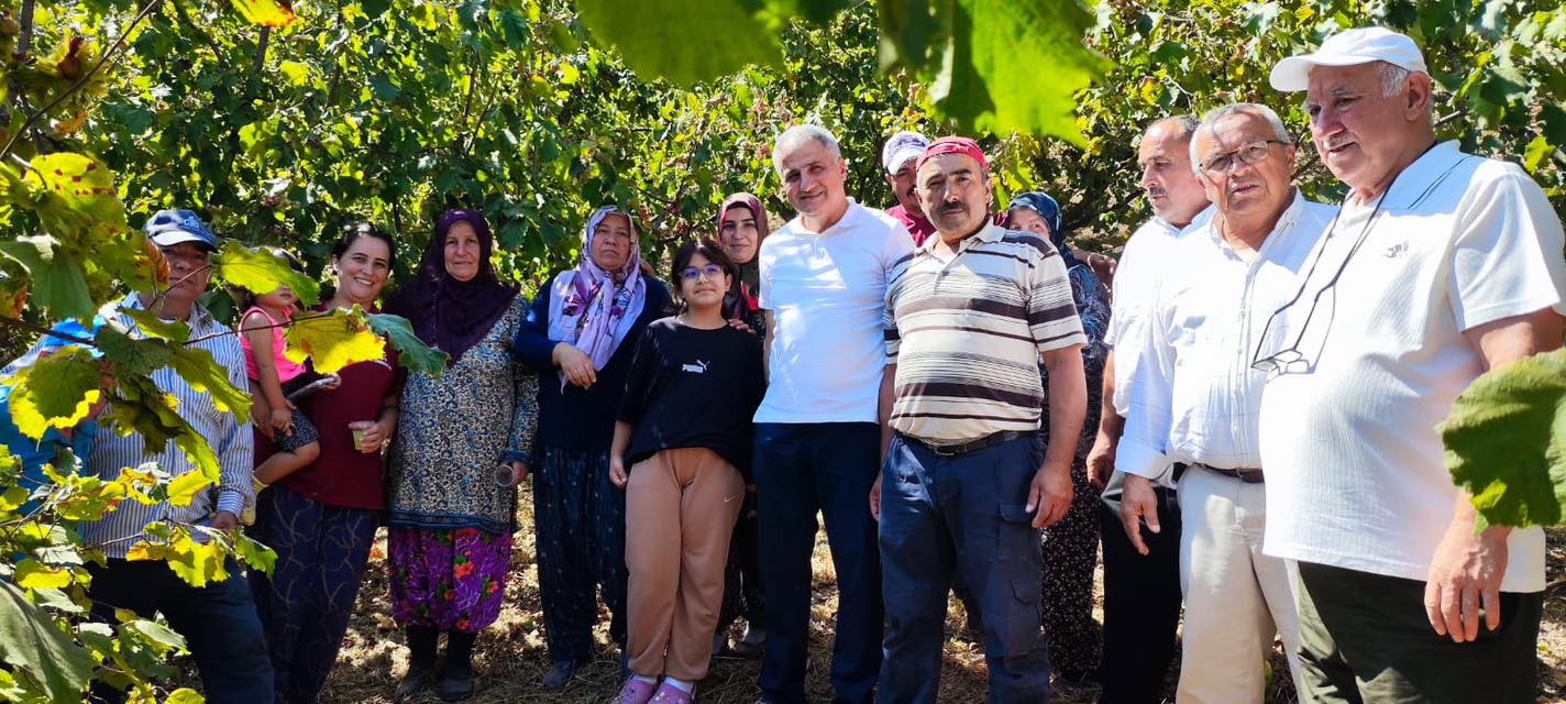 535090098 30730702773245048 521414216186884393 N