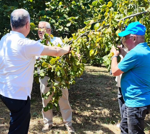 535349331 30730462699935722 1738668657229831023 N