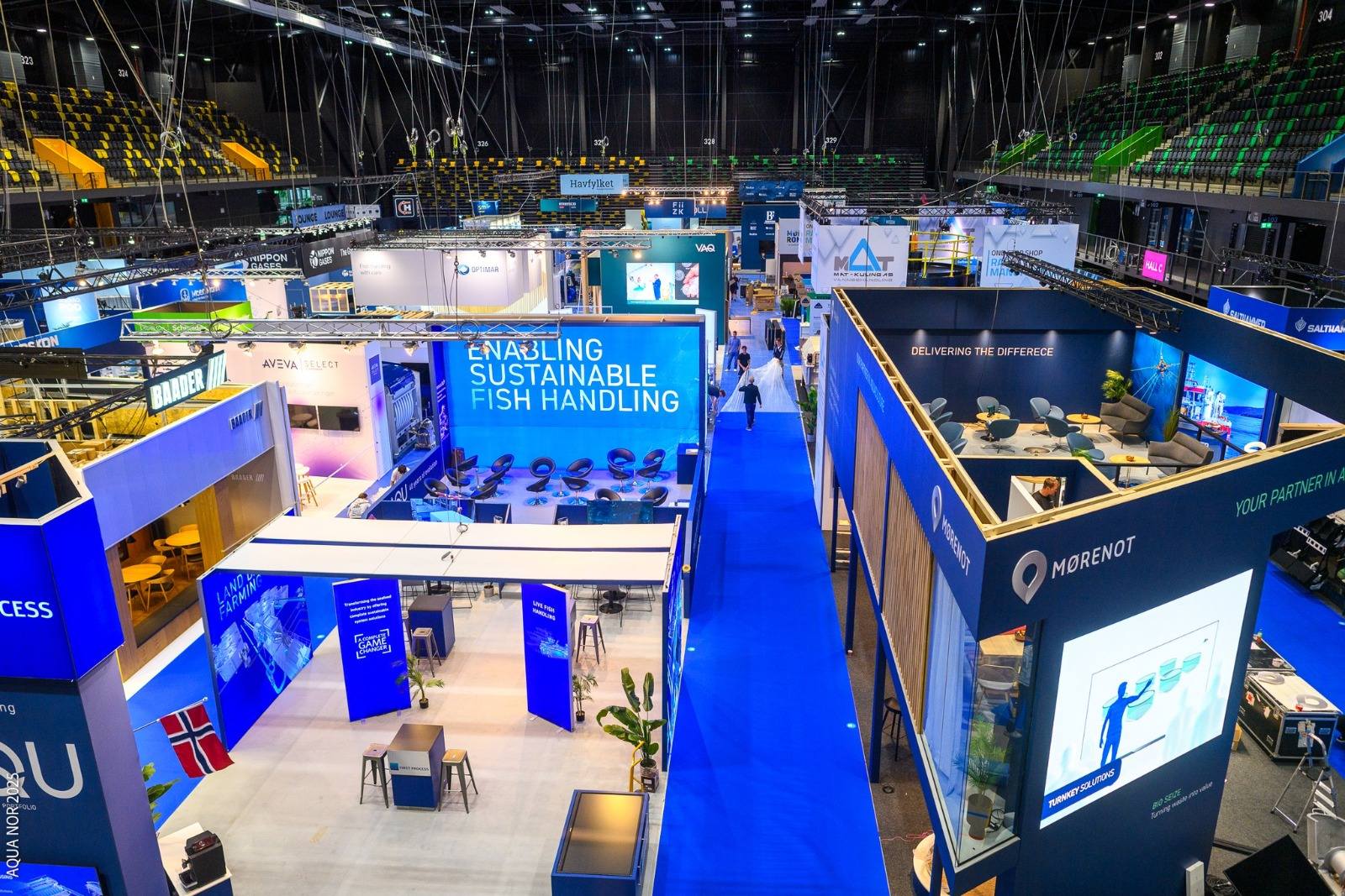 536030227 1824884301400583 2538497857848510911 N