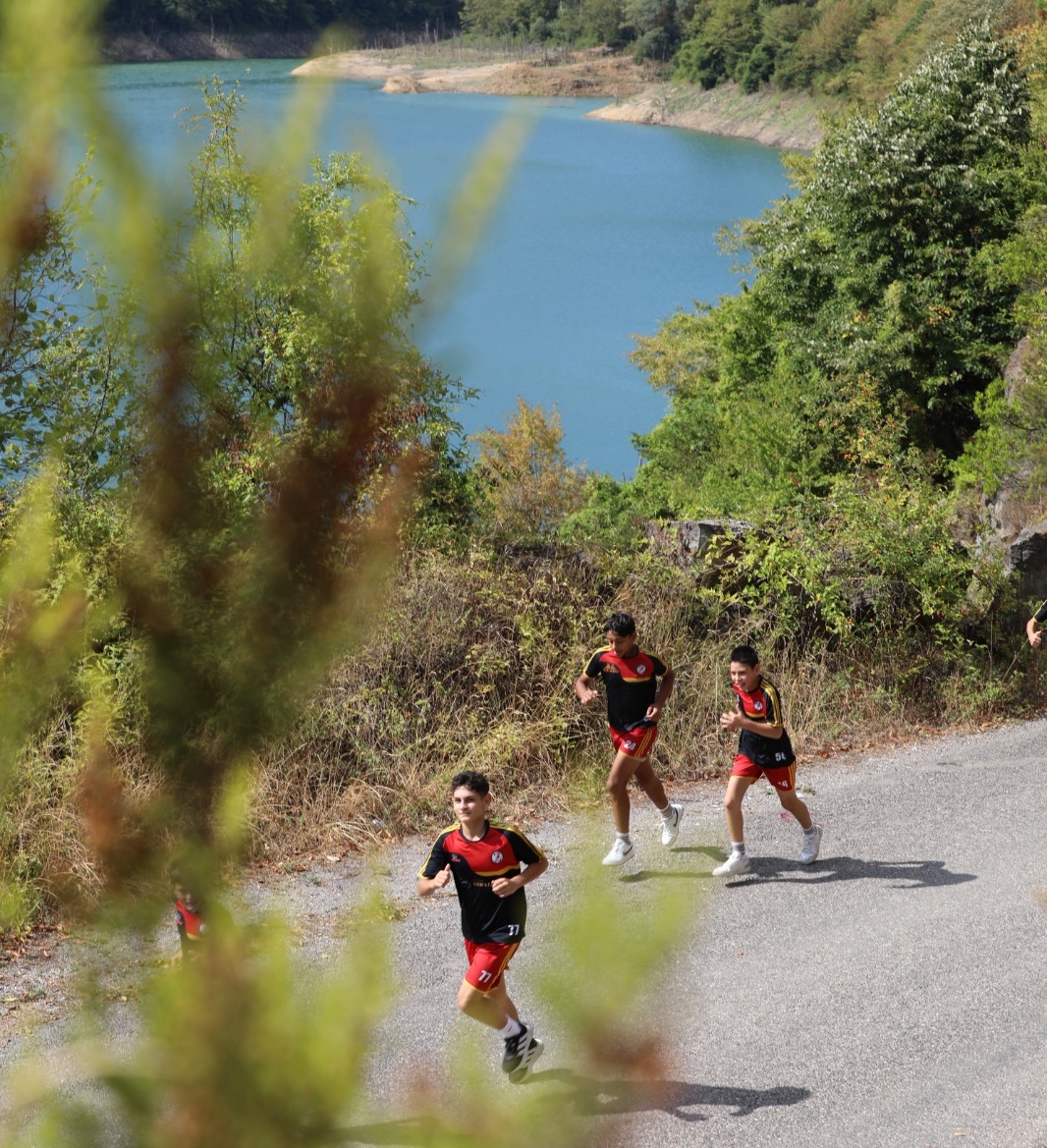 6438D676 6641 417C A5E4 C3F4Afcf59C9