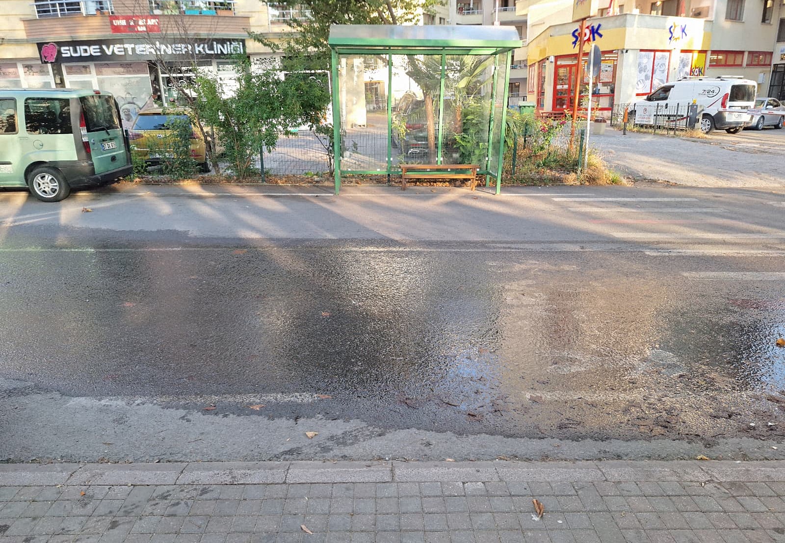 7270Fab8 Ed9D 4Bea Aec8 A17190D70B6C