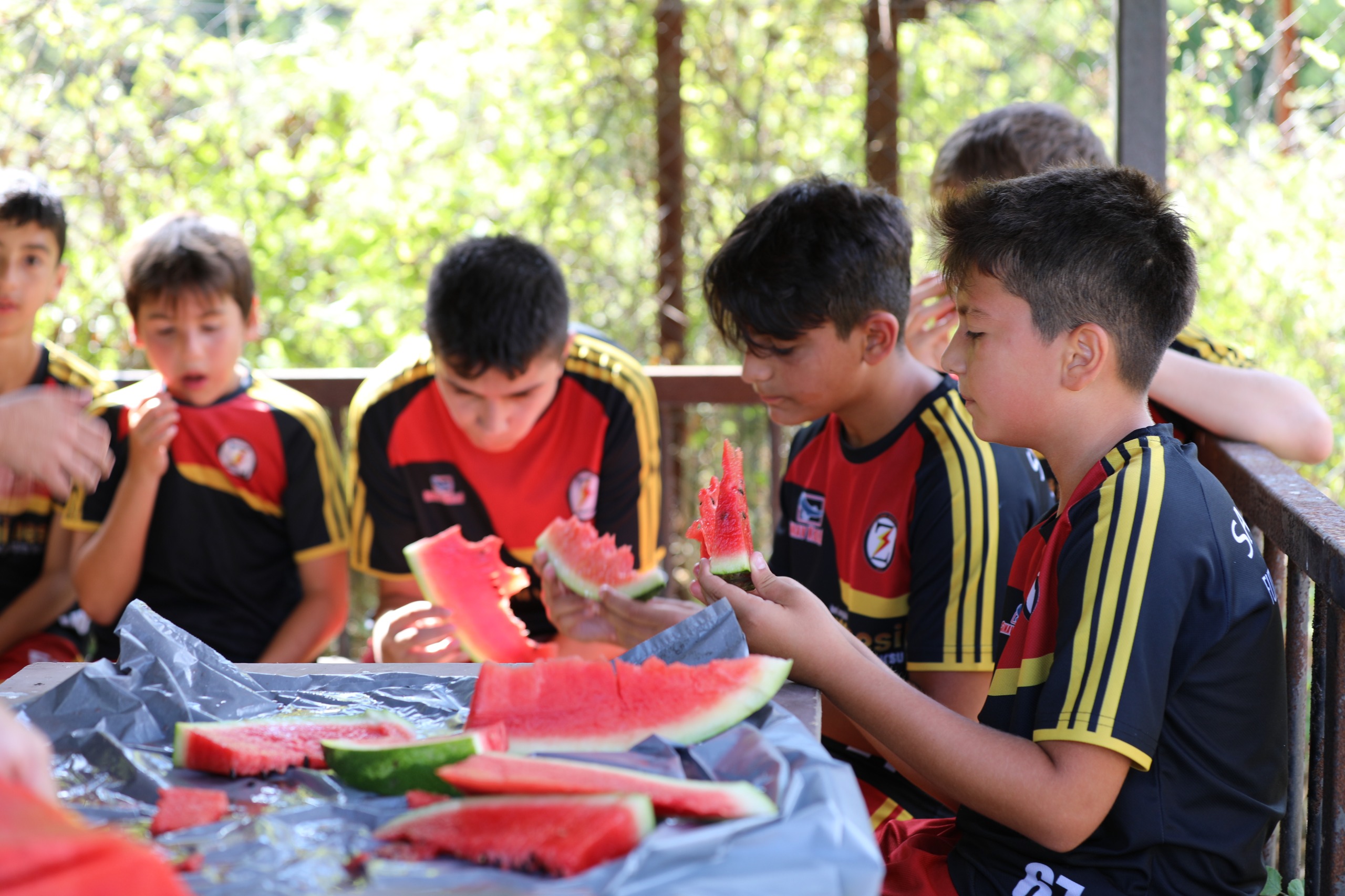 A2Ba77Ed 6E88 47B8 9Dfa 781273B48Efb