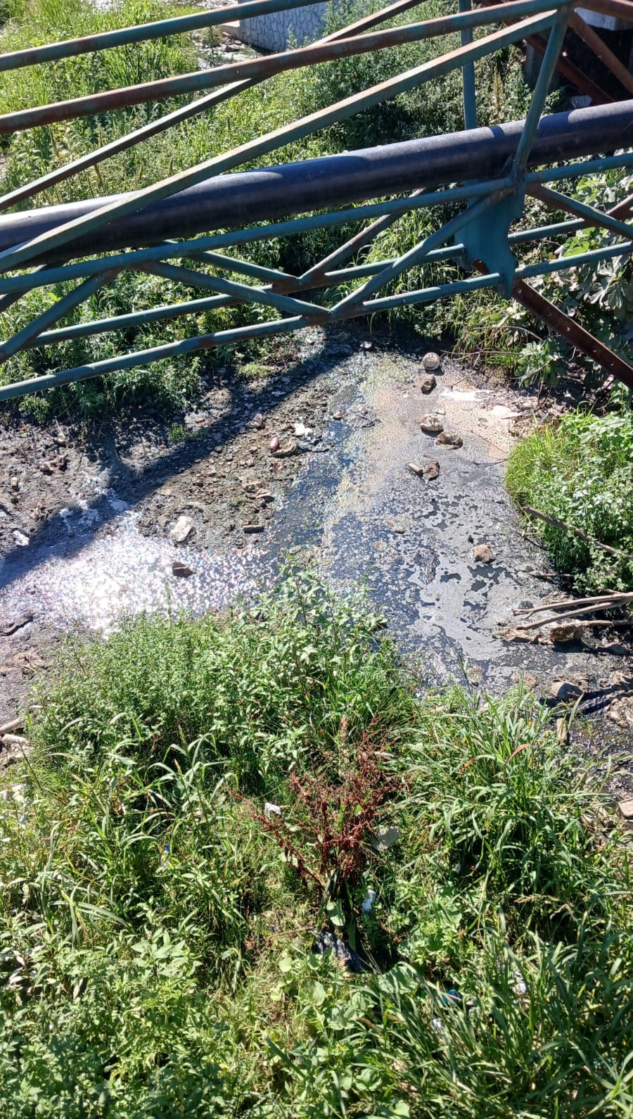 005C05Ea E88D 46Ab 8A61 88E3Edcde46D