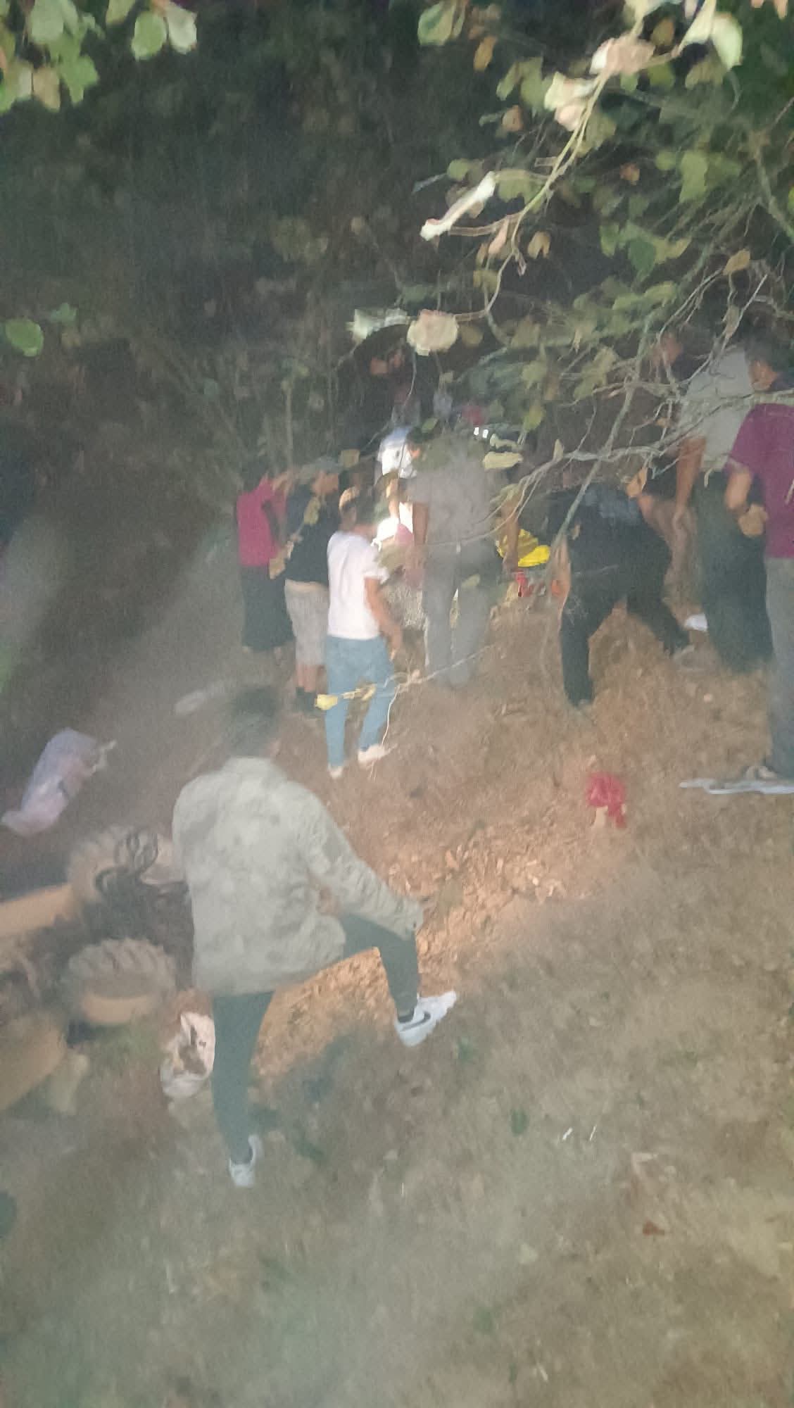 0Cbd3248 5333 4D22 903E 42C5C3Df698B