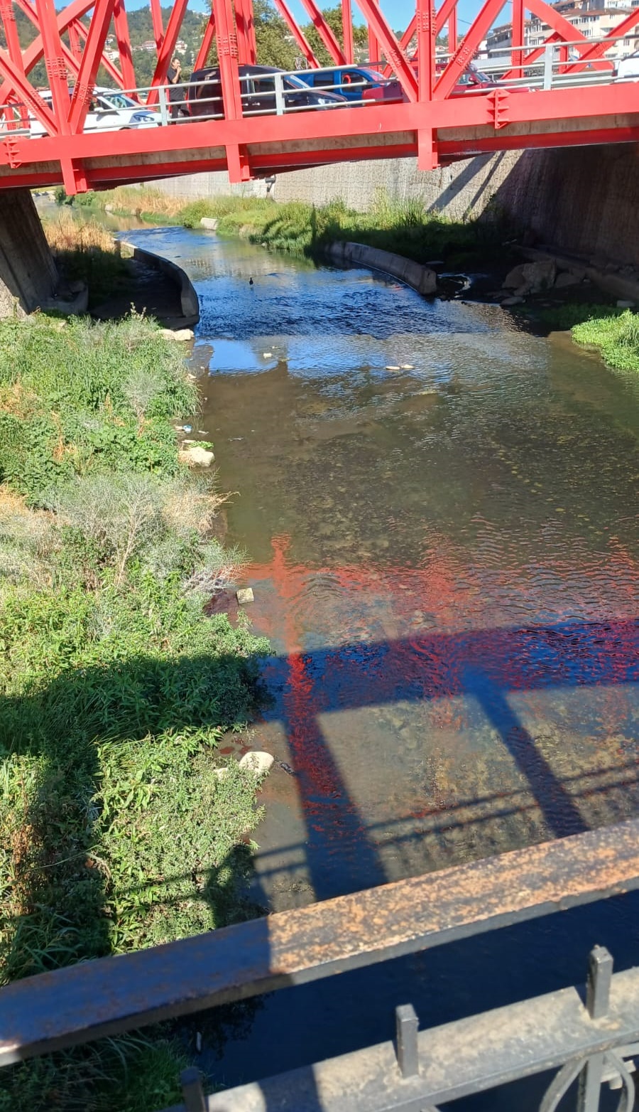 5C78Cebf 802D 4238 997F Cd914574Fad4