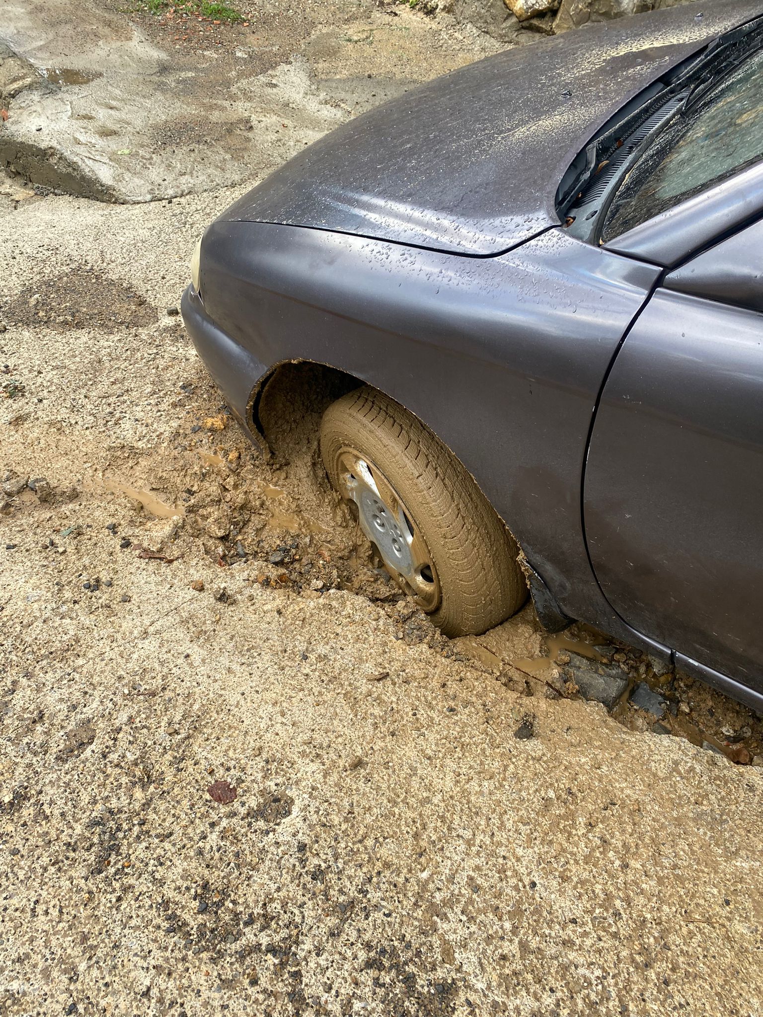 851479D0 491E 423B B82D F09423521C5F