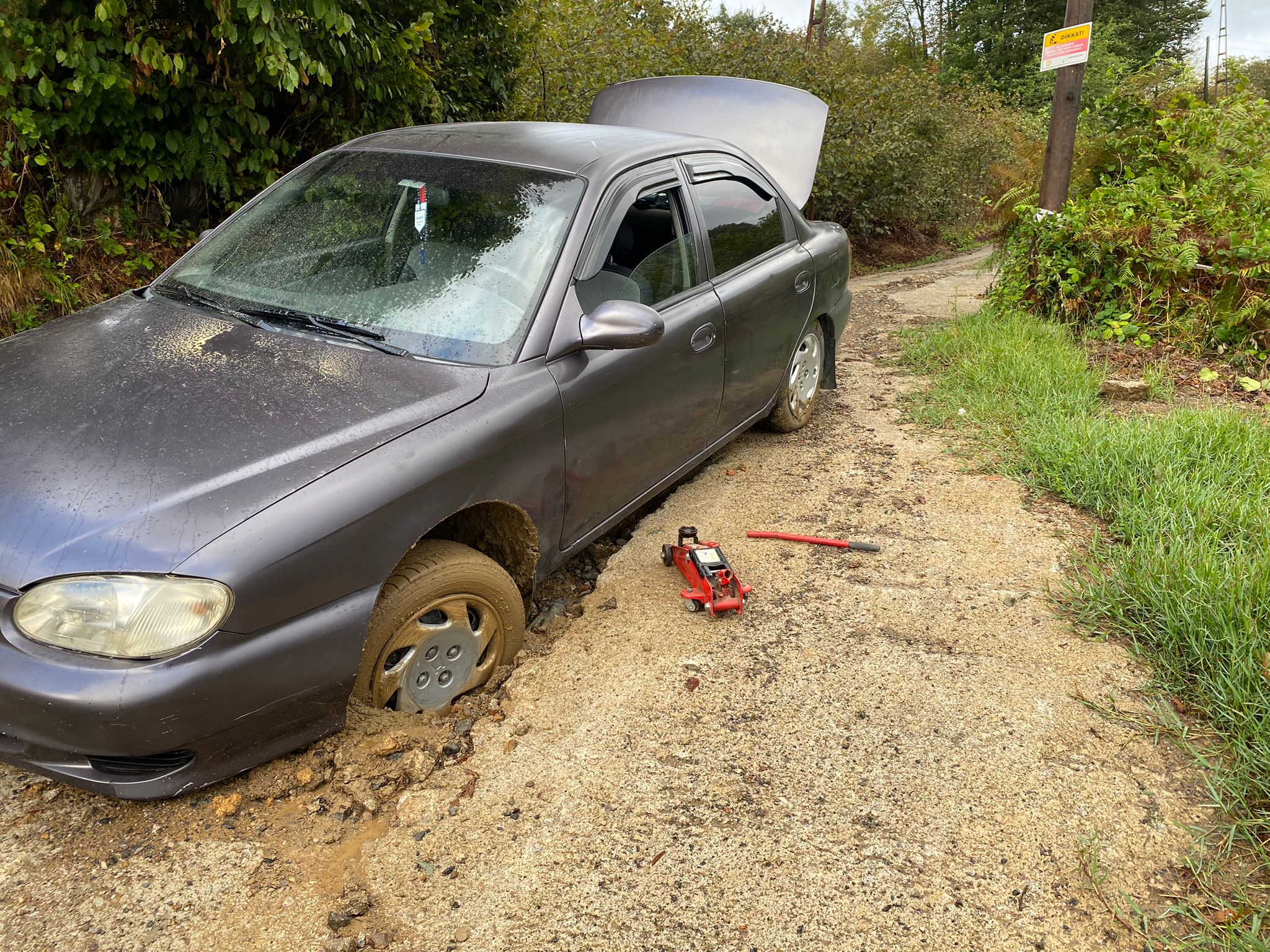 Aa8B984B 1F7E 442D B233 4Faf166Bfa36