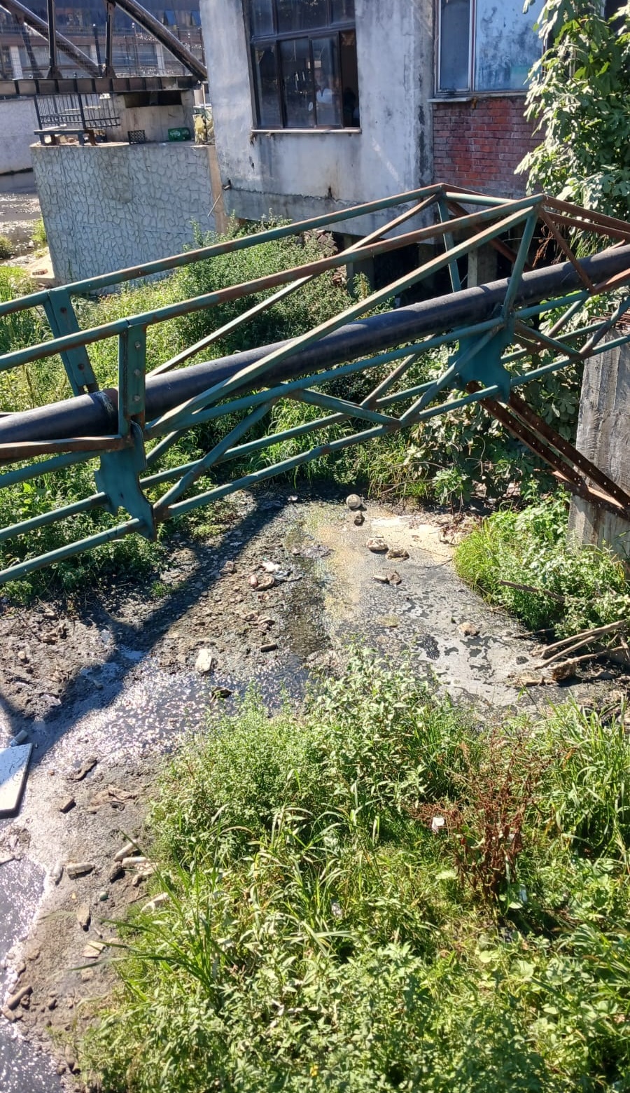 Bdcfca9F 6Fca 4881 A637 2A0Fbbf25Ad5