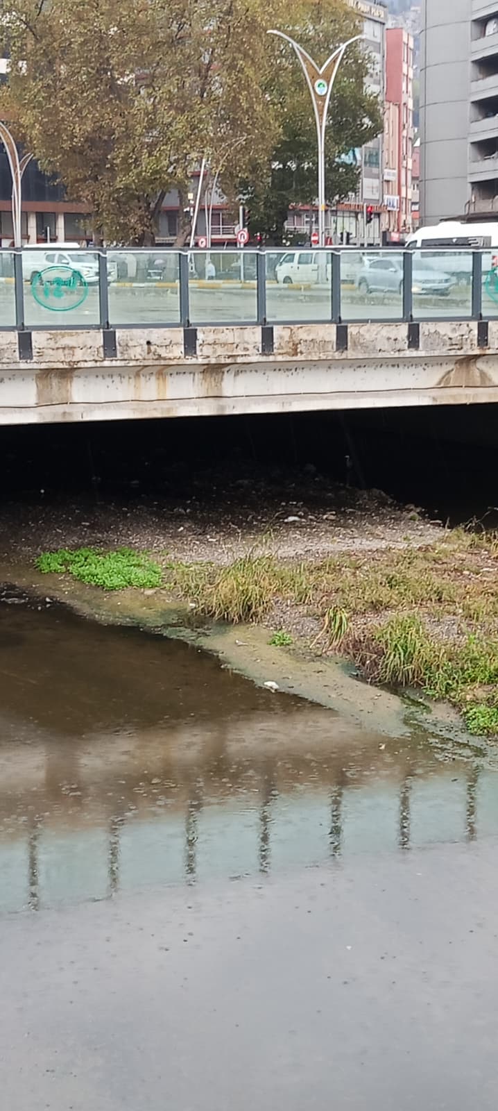 Whatsapp Image 2025 09 29 At 10.38.02 (1)