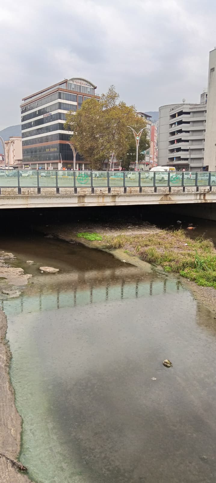 Whatsapp Image 2025 09 29 At 10.38.02 (2)