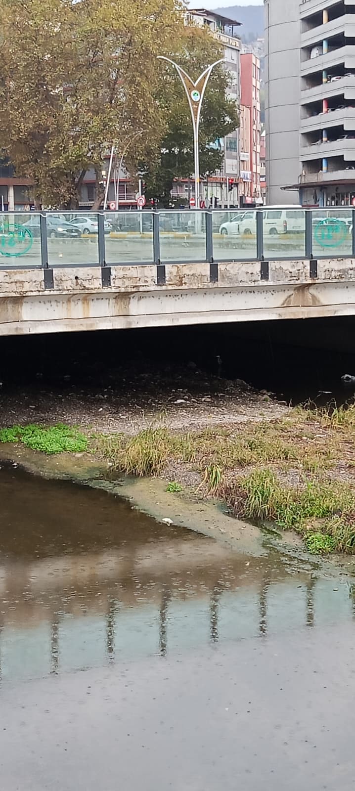 Whatsapp Image 2025 09 29 At 10.38.03